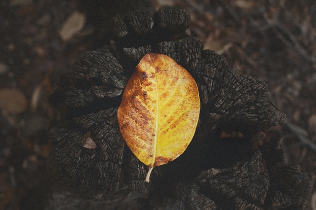 November 2011 Winner